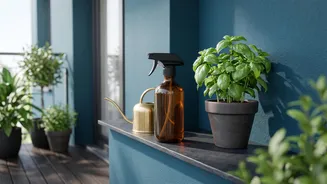 Why Natural Pest Control Methods Like Neem Oil Sprays Are Ideal For Apartment Balconies