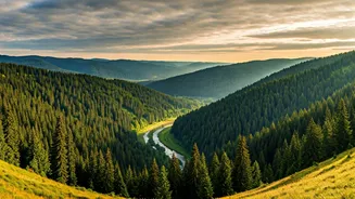 South India's 7 Serene Escapes: Your Guide to Blissful Hill Stations Beyond the Crowds