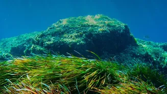 How Sustainable Island Travel Rules Support Marine Conservation Across Lakshadweep Tourist Hotspots Today