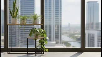 Easy-To-Grow Indoor Plants For Urban Living