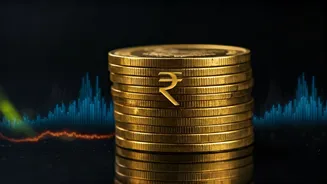 India's Market Moves: Stock Insights & Investment Opportunities