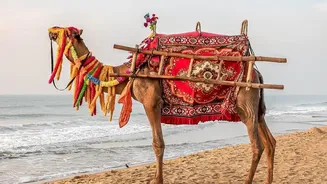 For Planning, Masula Beach Festival Can Introduce Younger Travellers to Kalamkari Heritage