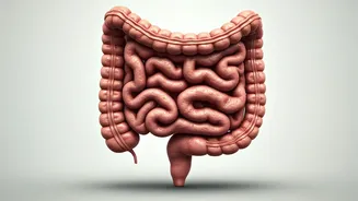 Mumbai Heatwave: 50% Spike in Gut Infections Linked to Dehydration, Temperature Swings, and Unsafe Food