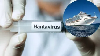 Two Indians Aboard Hantavirus-Hit Cruise Ship - What Is Their Status?
