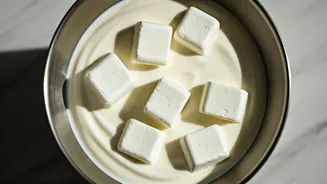 Give Pups Healthy Diet Boosts Freezing Plain Curd