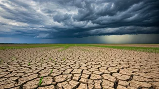 Food Inflation Risks Rise As Rainfall Turns Unpredictable