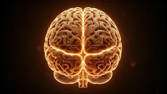Boost Your Brainpower With These 5 Easy Tips.