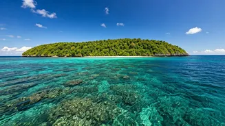 India's Island Gems: 5 Unforgettable Escapes