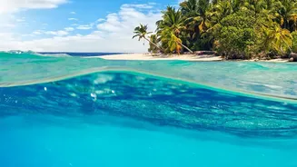 Clear Waters And Vibrant Coral Reefs Await Underwater Swimmers In Lakshadweep This Late Autumn