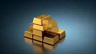 Top Stocks Driving Investor Wealth in India