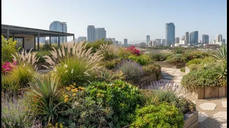 Cooler Rooftops Begin With Smarter Plant Choices