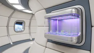 India's Space Medicine Push: Why Astronaut Research Matters For Doctors