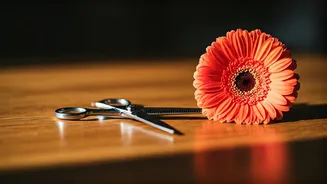 Beyond the Scissors: How a New Hairstyle Acts as Powerful 'Therapy' for Your Mood