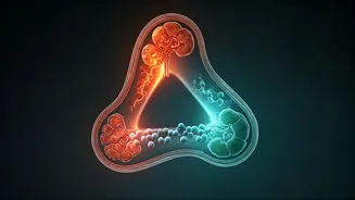 The Triple Threat: How Obesity, Diabetes, and Kidney Disease Form a Dangerous Health Cycle