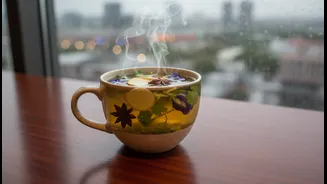How Shifting To Botanical Broths Keeps Urban Professionals Productive Under Rainy Skies