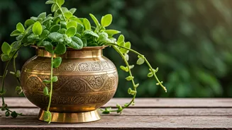 Ancient Brass Vessels Make The Coolest DIY Houseplant Planters
