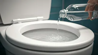 Sparkling Clean Toilets: Harnessing Vinegar's Natural Power for Stains & Odors