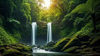 Why Western Ghats Are The Ultimate Hidden Gem This Season