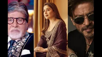 Amitabh Bachchan, Shah Rukh Khan, Madhuri Dixit: Bollywood Stars Who Did Not Vote During BMC Polls