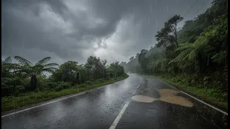 IMD Heavy Rain Warnings Should Beat Weekend Getaway FOMO This Month