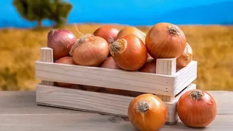 Plan A Use-First Produce Box Around Delicate Vegetables And Open Packs