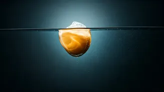 Consumer Flags Suspicious Substance in High-Protein Beverage; Brand Responds