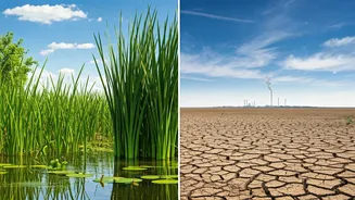 Tamil Nadu Elections 2026: Environmental Promises & Divergent Ecological Approaches