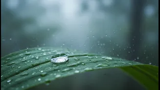 Why Water Intake Still Deserves Attention During Cool, Rainy Workouts