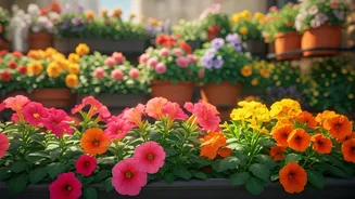 Bright Blooms Make Tiny Gardens Feel Bigger