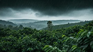 Chikmagalur Trips Need Forecasts Before FOMO