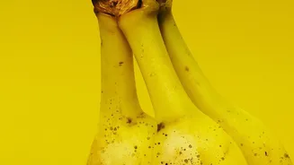 How Bananas Change As They Ripen: Choosing Bananas For Taste And Nutrition