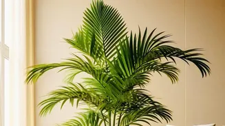 Indoor Plants Still Have Benefits Even If Air Cleaning Is Limited, Experts Say