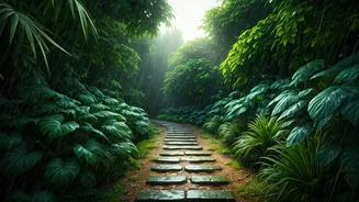 Monsoon Travel Rewards People Who Stay Flexible