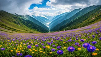 Uttarakhand Valley Of Flowers Alpine Trails Are Ready To Bloom