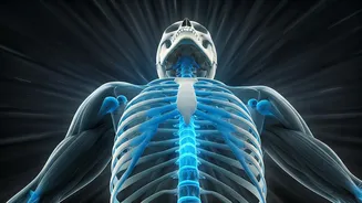 Beyond the Grunt: Why Pilates is the Unexpected Strength Builder for Athletes