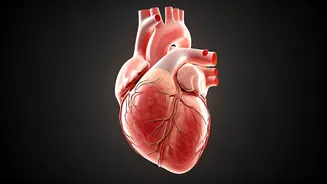 Watch Out: Heart Problems Have Silent Signs