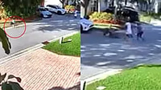 VIDEO: Off-Leash Pit Bull Charges At Pedestrians In US Near Florida Beach, Leaves 3 Hospitalised