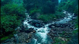 Must-Visit Hill Stations in India to Add to Your Travel List