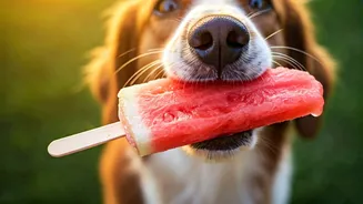 Beat Severe June Heat Waves With Watermelon Dog Popsicles