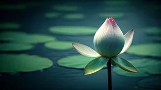 Embracing Change: Your March Motivation for Radical Acceptance and Authenticity