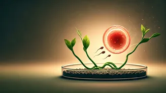 Ultra-Processed Foods & Fertility: How Your Diet Impacts Conception and Early Development