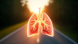 Breathing Better While Walking Is The New Hook