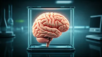 Stroke Prevention: Simple Steps for a Healthier Life