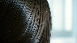 Rainy Hair Fall Needs Gentle, Consistent Care