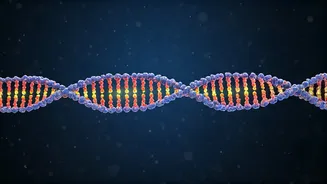 QT45: The Tiny RNA Molecule That Copies Itself, Hinting at Life's Origins