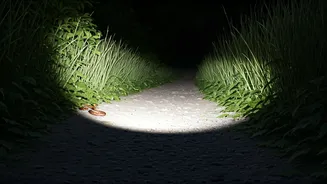 Nighttime Safety: Simple Habits to Prevent Snake Bites, According to Whitaker Experts
