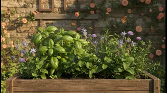 A Herb Planter Can Feed People And Pollinators At Different Stages