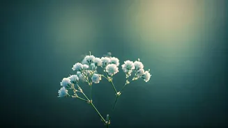 Unique Baby Boy Names for Wednesday Births: Wisdom, Focus & Blessings