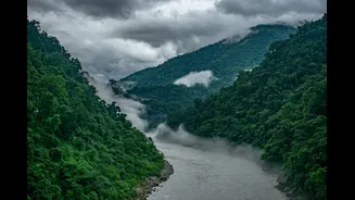 Heavy Rainfall Forecast for Northeast and Central India