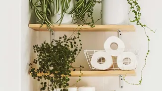 A Shared Bathroom Needs Rules for Storage and Cleaning